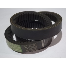 6201351 diržas Optibelt Agro Power