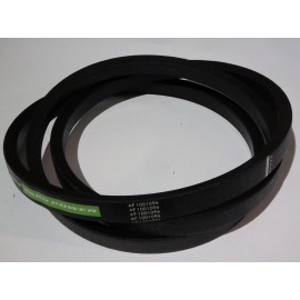 Z54807 diržas Optibelt Agro Power