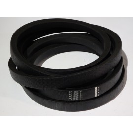 Z54406 diržas Optibelt Agro Power