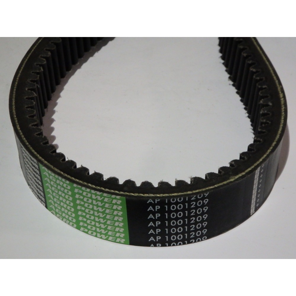 629756.0 diržas Optibelt Agro Power