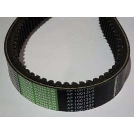 629756.0 diržas Optibelt Agro Power