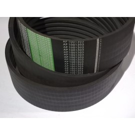 D41990064 diržas Optibelt Ago Power