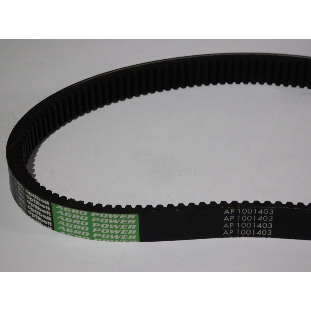 80334065 diržas Optibelt Agro Power