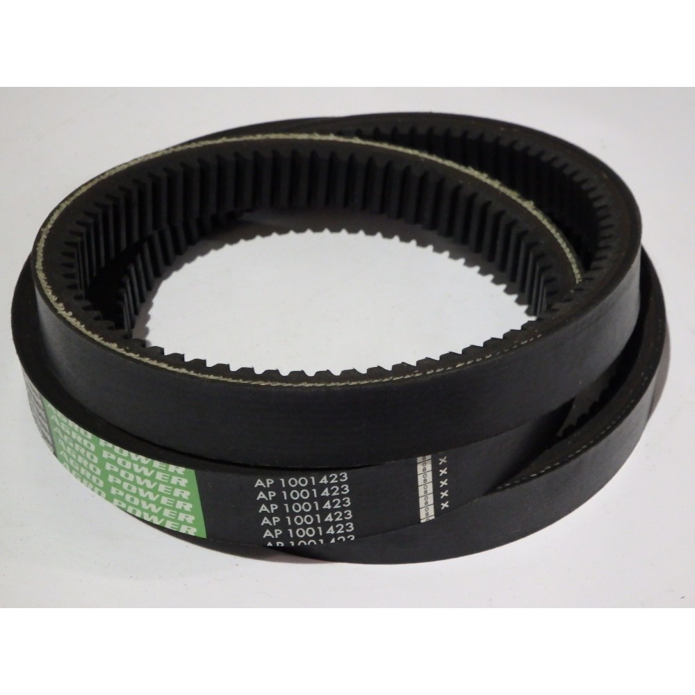 Z62110  diržas Optibelt Agro Power