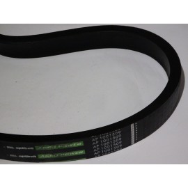 80230078 diržas Optibelt Agro Power