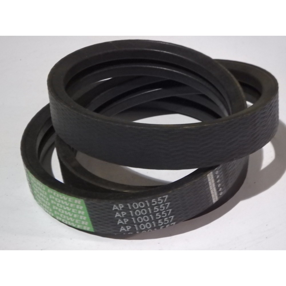 84817629 diržas Optibelt Agro Power