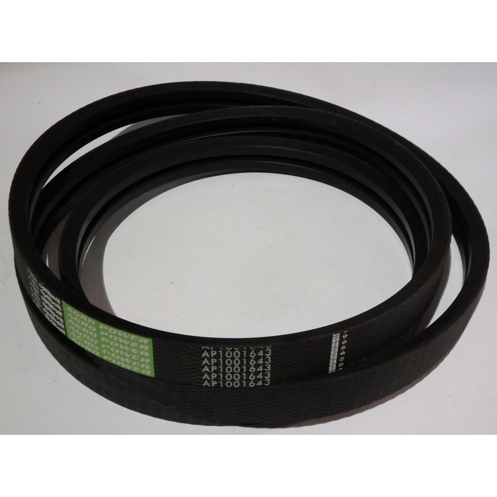D41992100 diržas Optibelt Agro Power