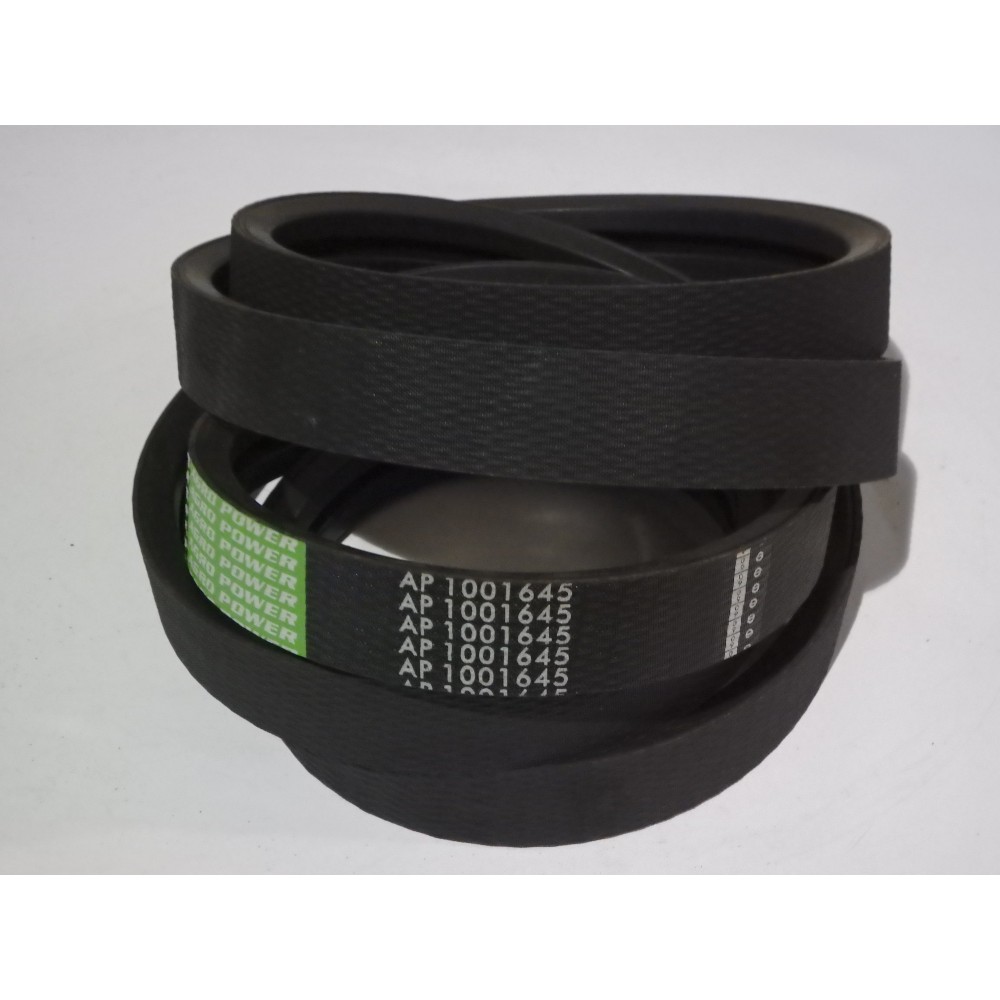 667934.0 diržas Optibelt Agro Power