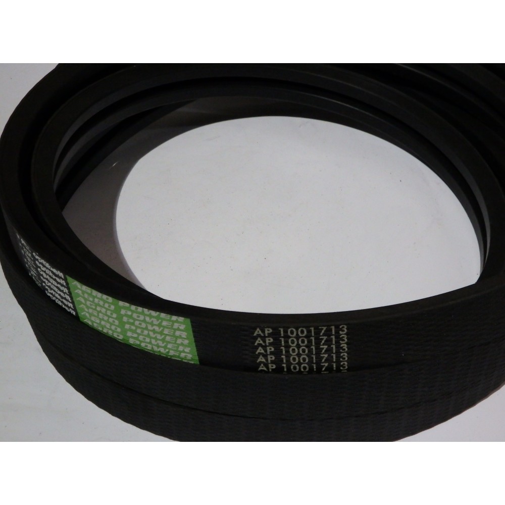 609762,0 diržas Optibelt Agro Pover
