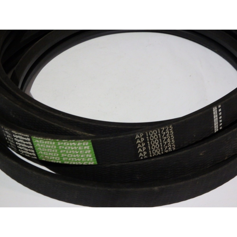 D41978400 diržas Optibelt Ago Power