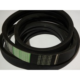 Z62552 diržas Optibelt Agro Power