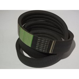D41990054 diržas Optibelt Agro Power KB AG 2X