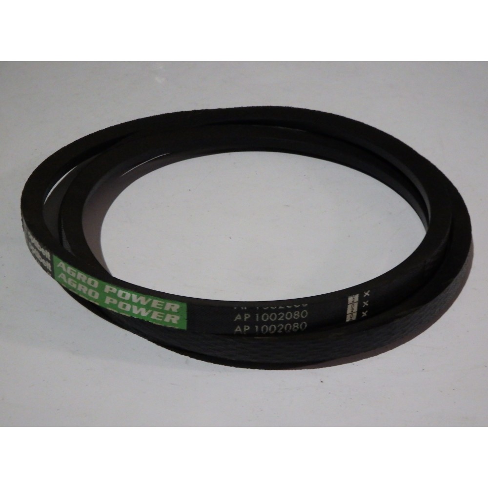 D41996100 diržas Optibelt Agro Power