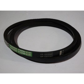 D41996100 diržas Optibelt Agro Power