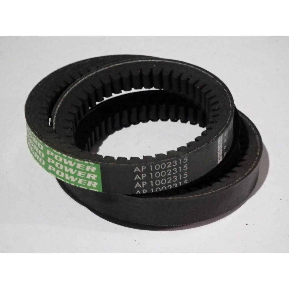 6201352 diržas Optibelt Agro Power