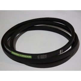 D41933900 diržas Optibelt Ago Power