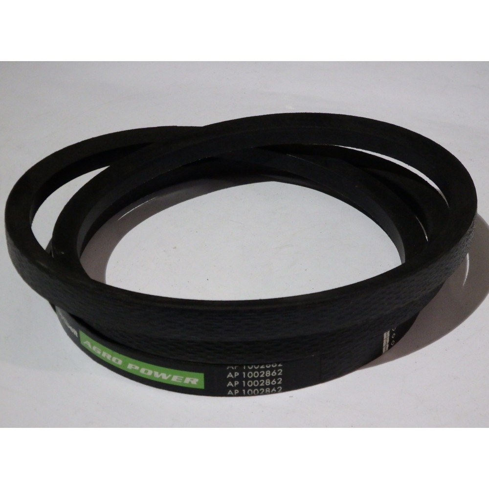 D41982300 diržas Optibelt Ago Power  V