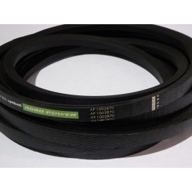 667454.0 diržas Optibelt Agro Power