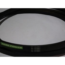 3173164R1 diržas *** Optibelt Agro Power