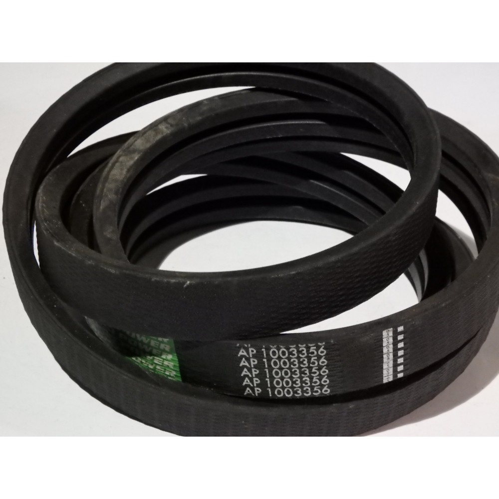 061700,1 diržas Optibelt Agro Power