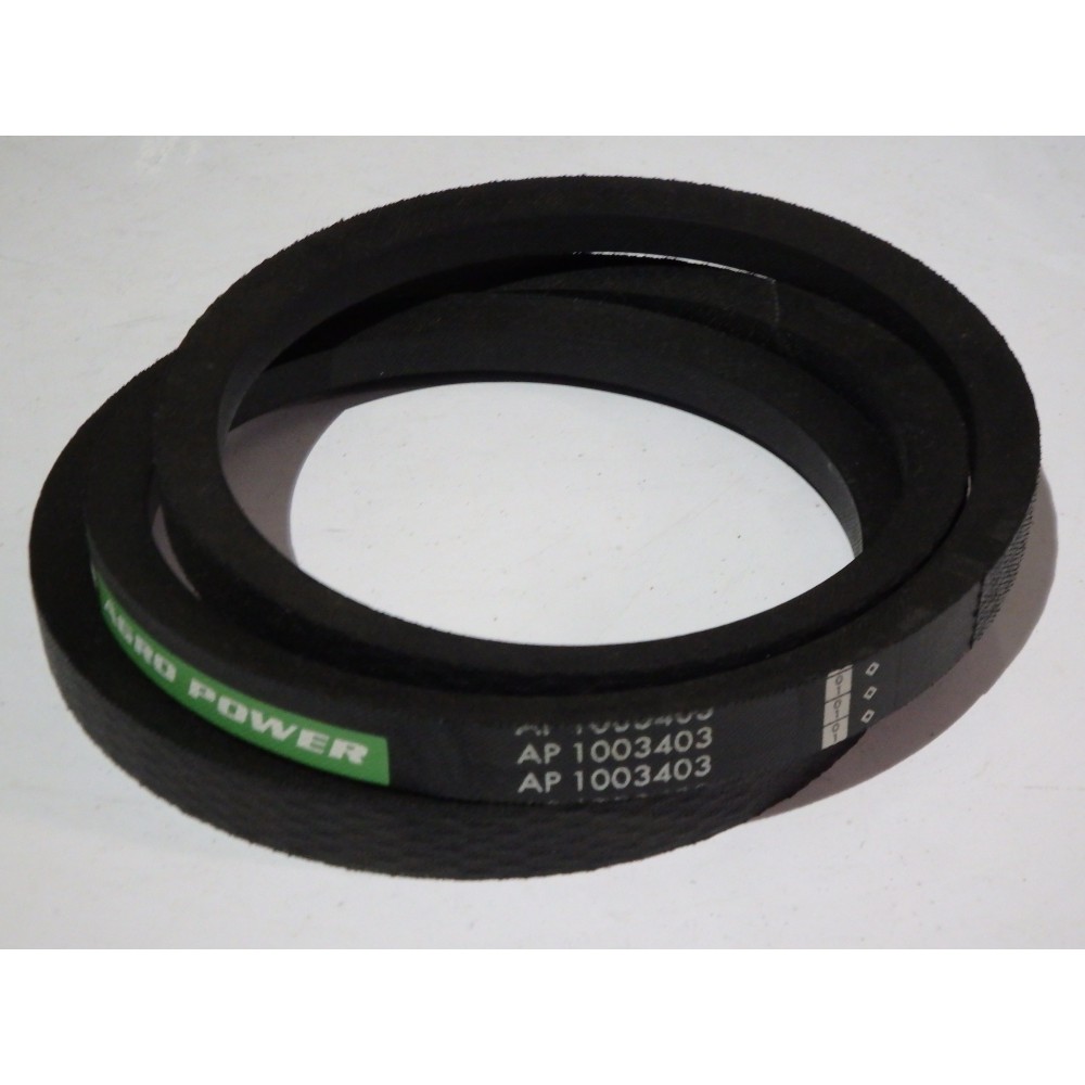 538714.0 diržas Optibelt Ago Power