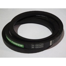 538714.0 diržas Optibelt Ago Power