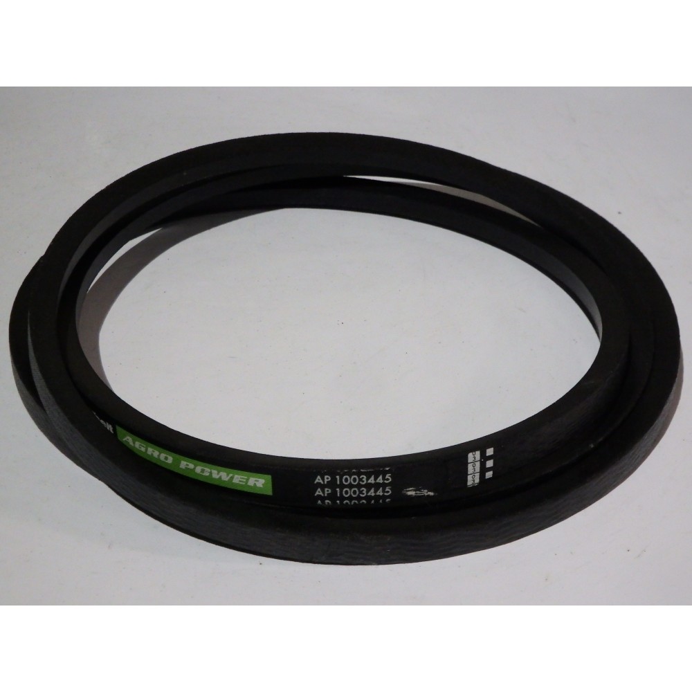 D41934900 diržas Optibelt Agro Power
