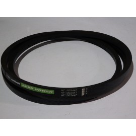 D41935700 diržas Optibelt Agro Power