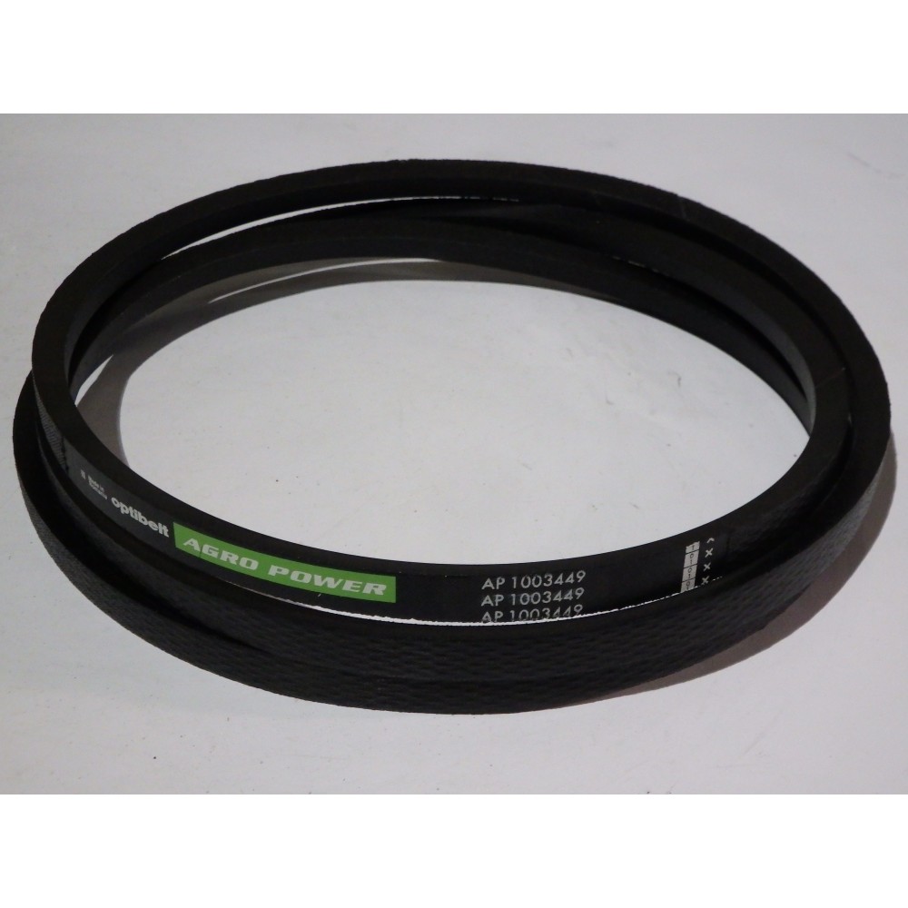 D41966900 diržas Optibelt Agro Power