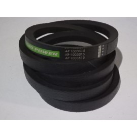 402607M1 diržas Optibelt Agro Power