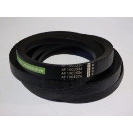 06210989 diržas Optibelt Agro Power