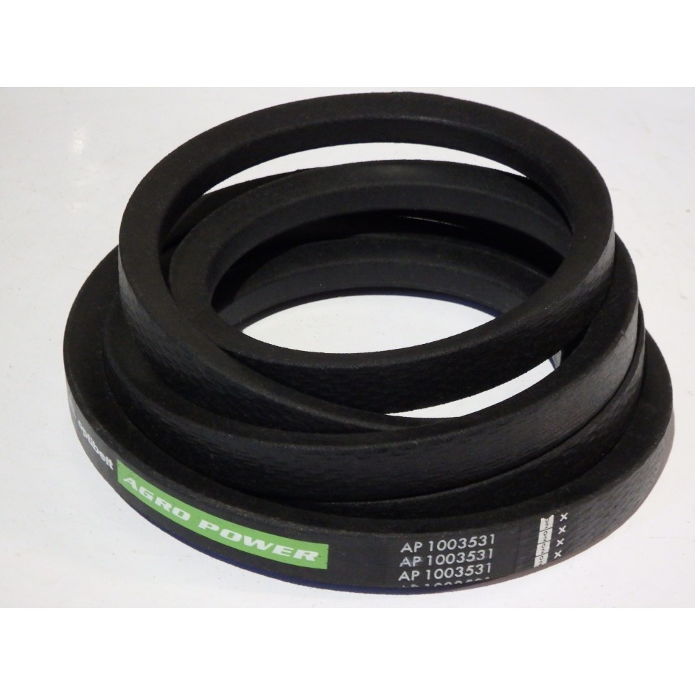 1410279R1 diržas Optibelt Agro Power