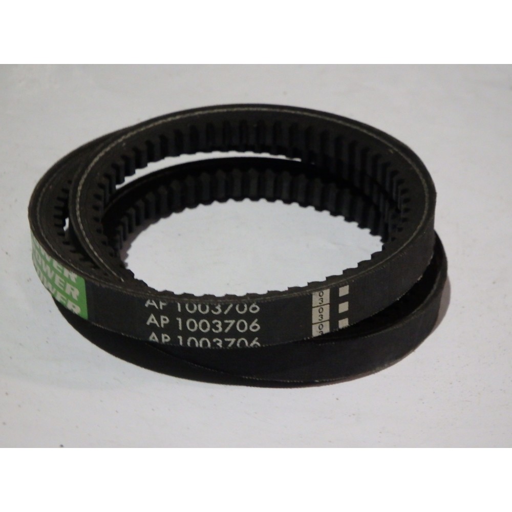 D41904200 diržas Optibelt Ago Power Marathon 2