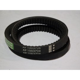 D41904200 diržas Optibelt Ago Power Marathon 2