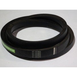 Z62213 diržas Optibelt Agro Power