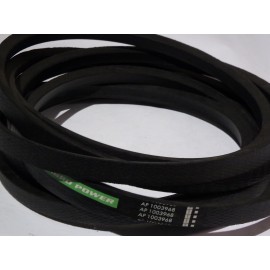 549055,0 diržas Optibelt Ago Power