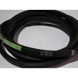 D41975300 diržas Optibelt Ago Power